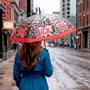 Apparel - Umbrellas - FISURA