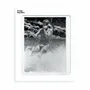 Poster - THE PHOTOGRAPHY GALLERY - Posters - IMAGE REPUBLIC