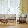 Chairs for hospitalities & contracts - New Brown Color for Rattan Bestsellers - SIKA-DESIGN
