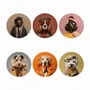 Cadeaux - Coffret Dessous de Verre Funny Dogs VI - MA CHÉRIE MON AMOUR