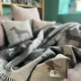 Plaids - Teckel Plaids - BELPO EU