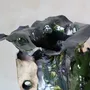 Ceramic - Carved Ceramic Vase - WOJCIECH DZIENNIAK ART