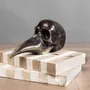 Objets de décoration - Curieux Spécimens - ATELIERS DAVOY