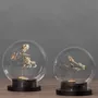 Objets de décoration - Curieux Spécimens - ATELIERS DAVOY