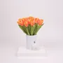 Home fragrances - Blue Jay Edition - NODITO
