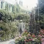 Candles - Bougie - Monet - MAISON GIVERNY