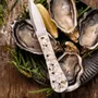 Knives - L'écume - oyster knife - L'ATELIER ROSIE