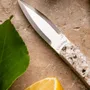 Knives - L'écume - oyster knife - L'ATELIER ROSIE