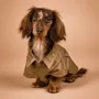 Accessoires animaux - Manteau pour chien style trench - CHARLY ET MOI