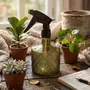 Garden accessories - The Plant Spray - Olive Green - BAZAR BIZAR LIVING