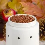 Home fragrances - SCENTSICLES ScentFetti Scented Filler - SCENTSICLES