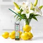 Home fragrances - SCENTSICLES Scented Ornaments Sticks - SCENTSICLES