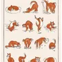 Torchons - Torchon Imprime Journée de Chat Ecru 48 X 72 - MAISON VIVARAISE - SDE VIVARAISE WINKLER