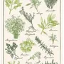 Torchons - Torchon Imprimé Les herbes de provence Ecru 48 x 72 - MAISON VIVARAISE - SDE VIVARAISE WINKLER