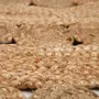 Rugs - Patna Rug Naturel Diameter 120 - MAISON VIVARAISE - SDE VIVARAISE WINKLER