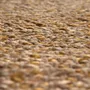 Tapis - Tapis Elliot Bronze 160 x 230 - MAISON VIVARAISE - SDE VIVARAISE WINKLER