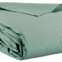 Bed linens - Calita Flat Sheet Sauge 240 X 300 - MAISON VIVARAISE - SDE VIVARAISE WINKLER