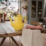 Tea towel - Kitchen Towel Terry Loess Ivoire 50 X 50 - MAISON VIVARAISE - SDE VIVARAISE WINKLER