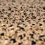 Tapis - Tapis Elliot Carbone 160 x 230 - MAISON VIVARAISE - SDE VIVARAISE WINKLER