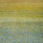 Rugs - Lilo Rug Thym 200 X 290 - MAISON VIVARAISE - SDE VIVARAISE WINKLER