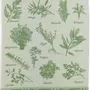 Dish towels - Jacquard Tea Towel Herbes de Provence Vert 50 X 70 - MAISON VIVARAISE - SDE VIVARAISE WINKLER