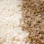 Rugs - Nesma Rug Naturel 120 X 170 X 3 - MAISON VIVARAISE - SDE VIVARAISE WINKLER