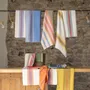 Torchons - Torchon recyclé Yuna Paon/naturel 50 x 70 - MAISON VIVARAISE - SDE VIVARAISE WINKLER