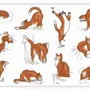 Nappes - Set de table Journée du chat Assortis 30 x 45 - MAISON VIVARAISE - SDE VIVARAISE WINKLER