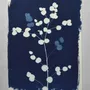 Torchons - Torchon Eucalyptus Bleu 70 x 50 - LA CERISE SUR LE GATEAU