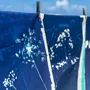 Torchons - Torchon Fleurs de carotte Bleu 70 x 50 - LA CERISE SUR LE GATEAU