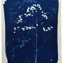 Torchons - Torchon Gypso Bleu 70 x 50 - LA CERISE SUR LE GATEAU
