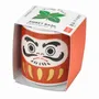 Children's decorative items - Lucky Plants - NOTED