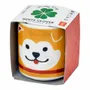 Children's decorative items - Lucky Plants - NOTED