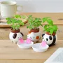 Children's decorative items - Peropon® - NOTED