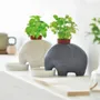 Cadeaux - Eleplant - NOTED