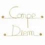 Other wall decoration - Gold Brass Wire Wall Decoration " Carpe Diem ” - to be pinned - BIJOUX DE MUR