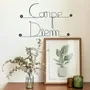 Other wall decoration - Wire wall decoration " Carpe Diem ” - to pin - BIJOUX DE MUR