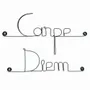 Other wall decoration - Wire wall decoration " Carpe Diem ” - to pin - BIJOUX DE MUR