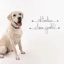 Other wall decoration - Attention, friendly dog door decoration - BIJOUX DE MUR