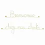 Autres décorations murales - Décoration Murale en laiton doré " Bienvenue chez nos chats" - BIJOUX DE MUR