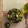 Table cloths - Placemat Kadra Prairie 33 X 45 - MAISON VIVARAISE - SDE VIVARAISE WINKLER
