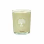 Bougies - BOUGIE PARFUMÉE PAR 6 (CANNELLE-ORANGE) - NATURE & BOTANIC