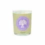 Bougies - BOUGIE PARFUMÉE PAR 6 (CANNELLE-ORANGE) - NATURE & BOTANIC