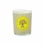 Bougies - BOUGIE PARFUMÉE PAR 6 (CANNELLE-ORANGE) - NATURE & BOTANIC