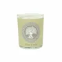 Bougies - BOUGIE PARFUMÉE PAR 6 (CANNELLE-ORANGE) - NATURE & BOTANIC