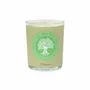 Bougies - BOUGIE PARFUMÉE PAR 6 (MONOÏ) - NATURE & BOTANIC