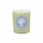 Candles - SCENTED CANDLE – PACK OF 6 (PIERRE D’AMBRE) - NATURE & BOTANIC