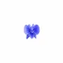 Scent diffusers - TERRE ORCHIDS – LARGE DISPLAY, 60 PCS - NATURE & BOTANIC