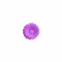 Scent diffusers - TERRE DAISIES – LARGE DISPLAY, 60 PCS - NATURE & BOTANIC