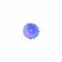 Scent diffusers - TERRE DAISIES – LARGE DISPLAY, 60 PCS - NATURE & BOTANIC